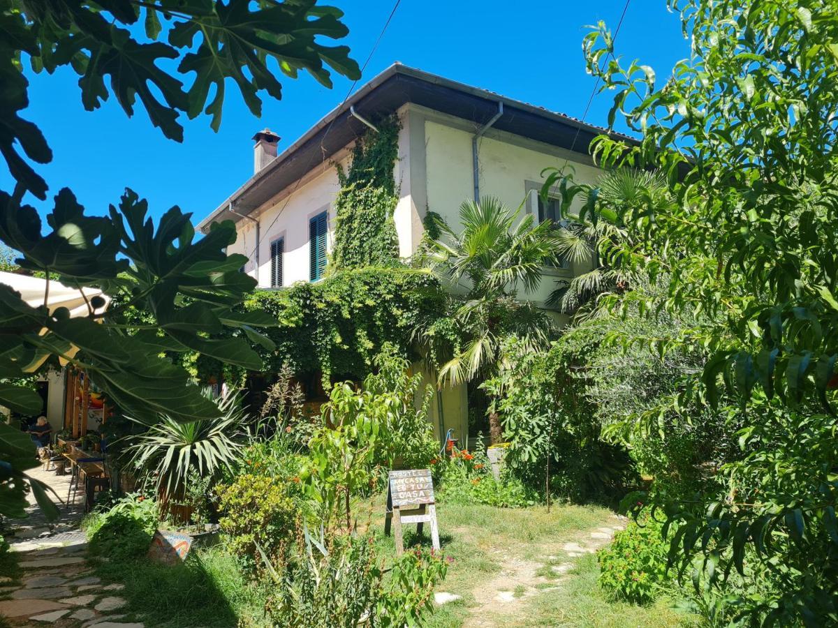 Mi Casa Es Tu Casa - Shkodra Backpackers Hostel Eksteriør billede