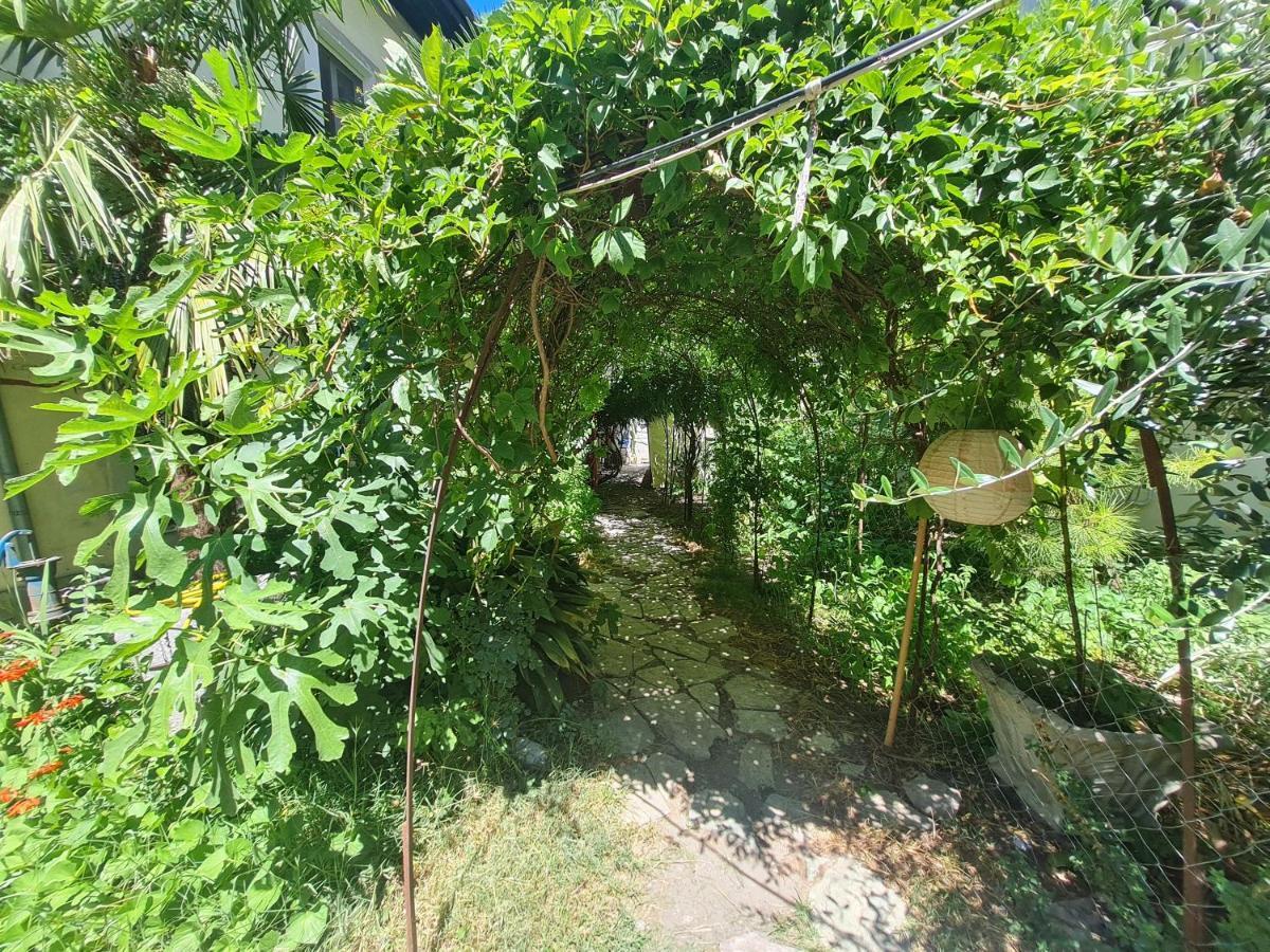 Mi Casa Es Tu Casa - Shkodra Backpackers Hostel Eksteriør billede