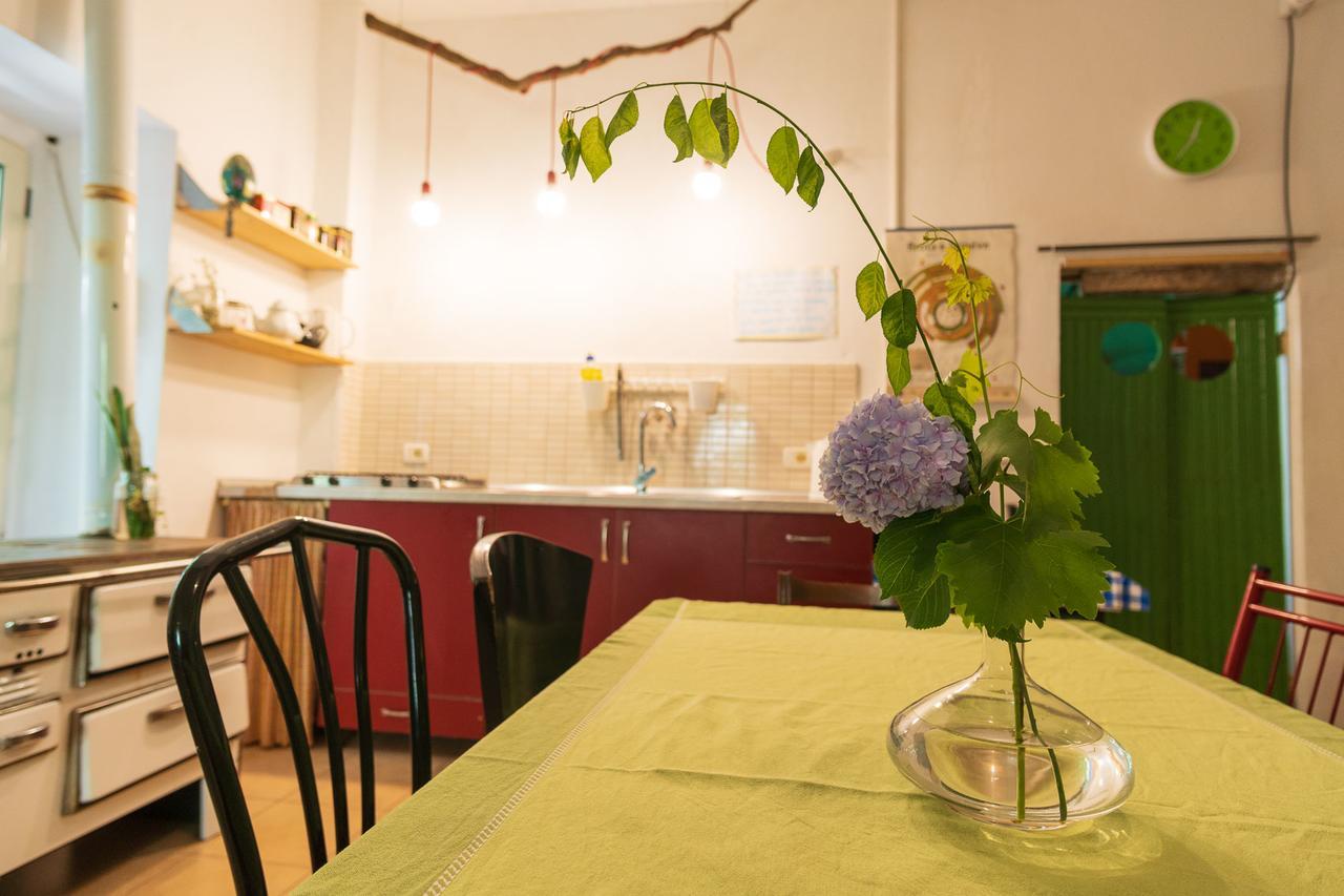 Mi Casa Es Tu Casa - Shkodra Backpackers Hostel Eksteriør billede